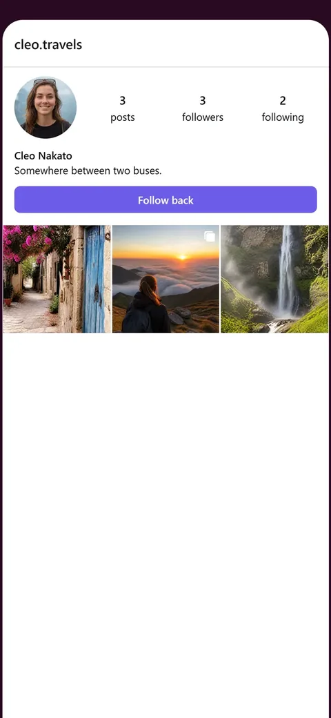 A profile, its grid and its follower counts.